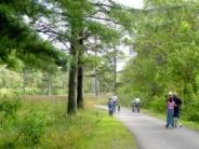 Families walking and biking on the greenway nursery trail