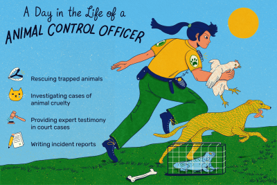 Day in the Life of an Animal Control Officer